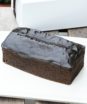 �p�E���h�V���R�� �z�[��