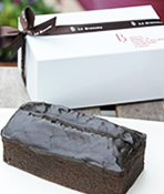 �p�E���h�V���R�� �z�[��